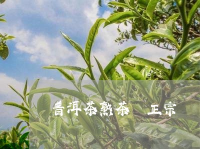 普洱茶熟茶 正宗/2023041044927